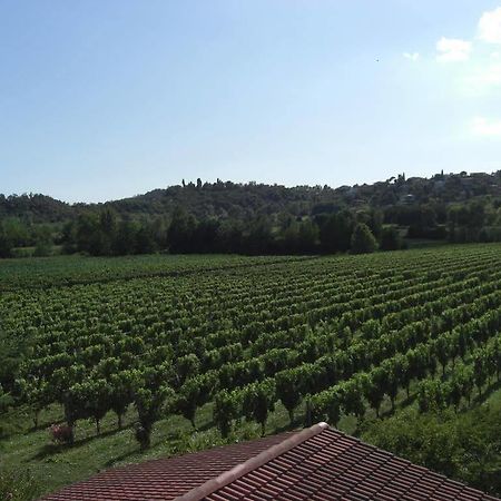 Il Vigneto Affittacamere Manerba del Garda Εξωτερικό φωτογραφία