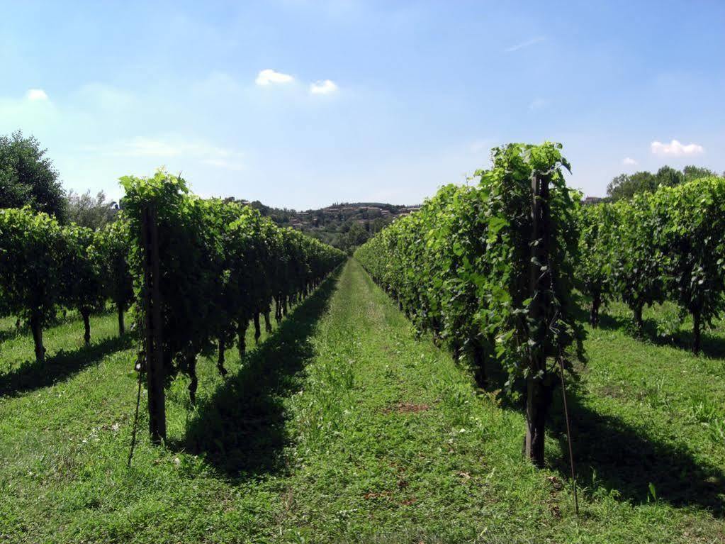 Il Vigneto Affittacamere Manerba del Garda Εξωτερικό φωτογραφία