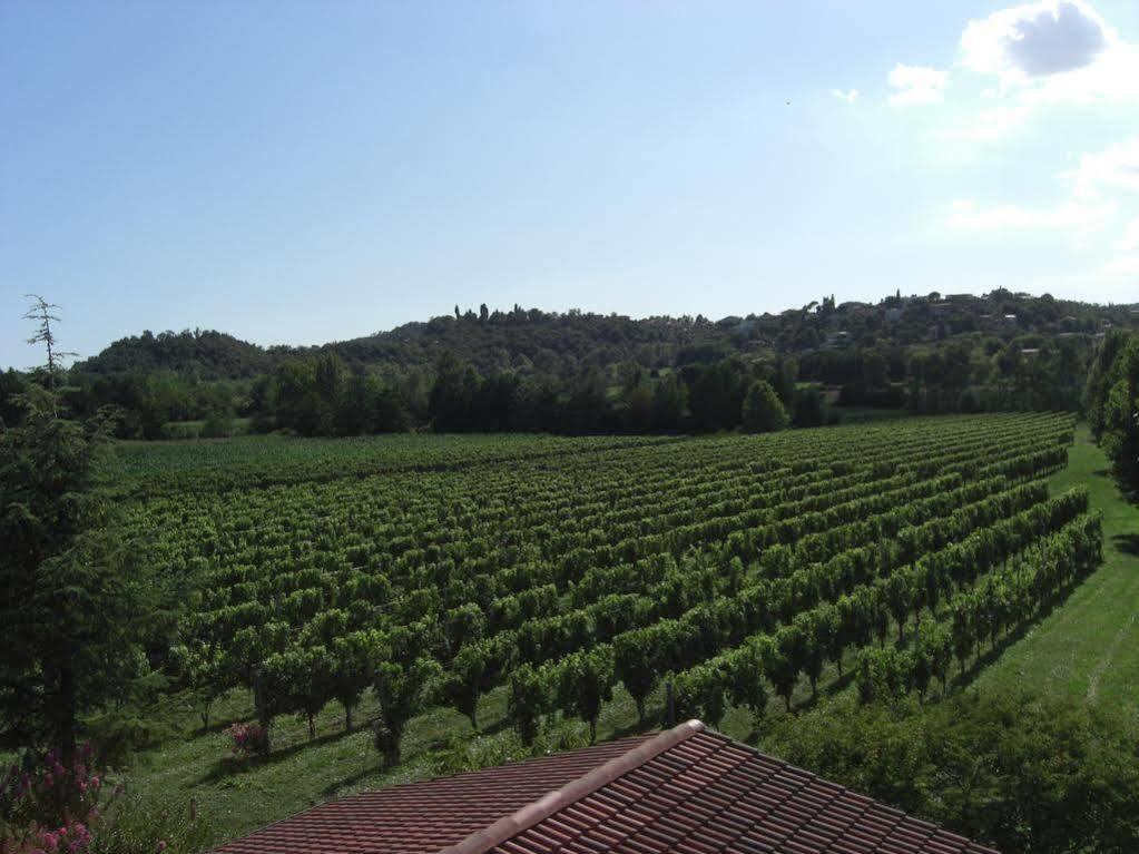 Il Vigneto Affittacamere Manerba del Garda Εξωτερικό φωτογραφία