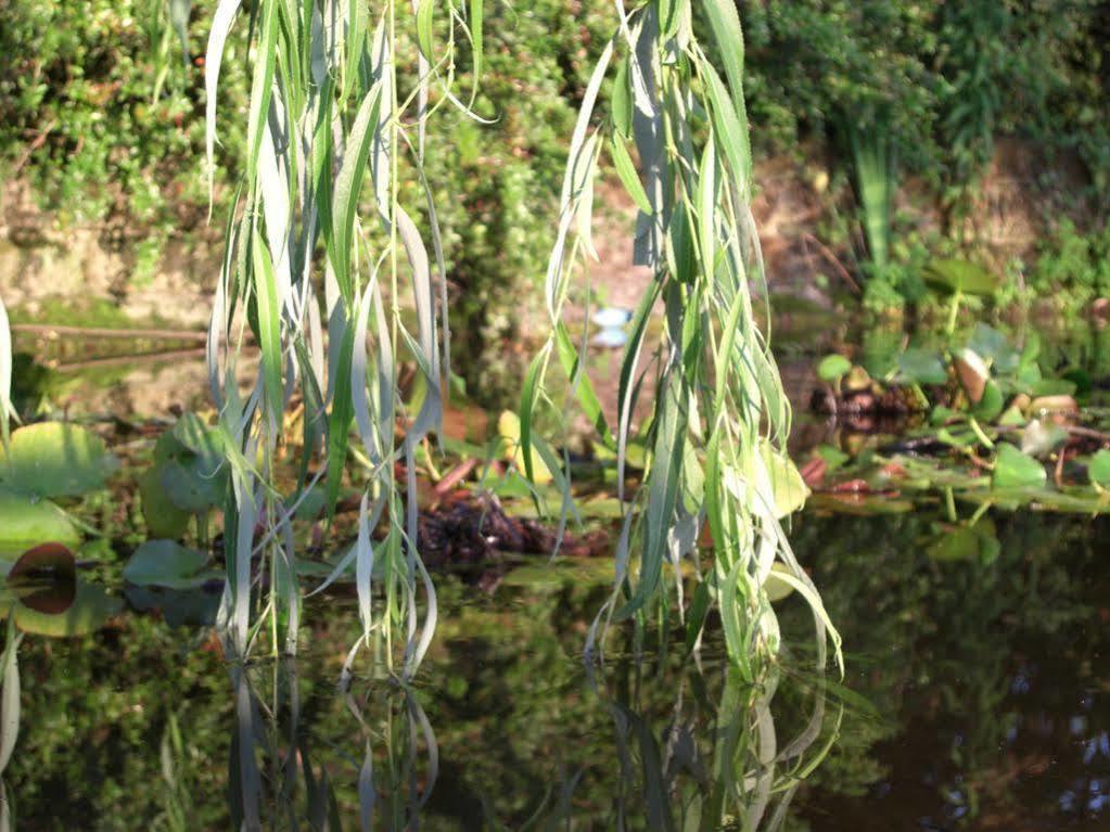 Il Vigneto Affittacamere Manerba del Garda Εξωτερικό φωτογραφία