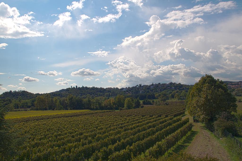 Il Vigneto Affittacamere Manerba del Garda Εξωτερικό φωτογραφία